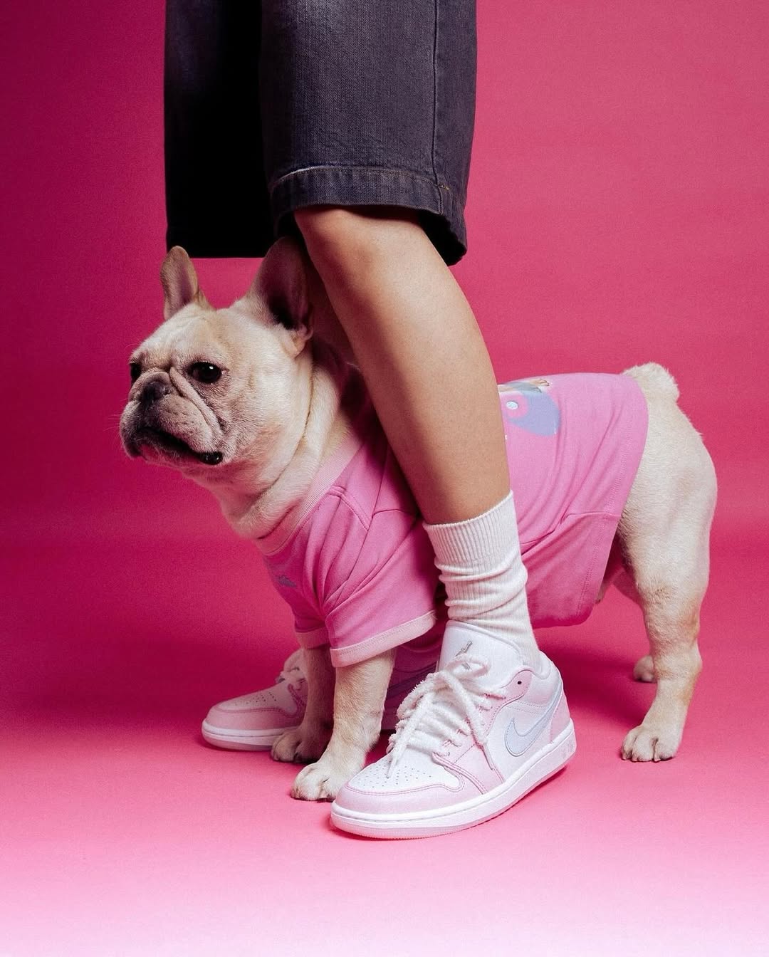 NIKE AIR JORDAN 1 LOW SE "PAW PRINT PINK FOAM"